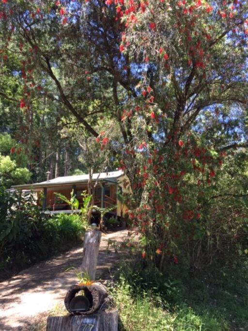 Sweetwater Cottage. A Private Mountain Escape Upper Burringbar Exterior foto
